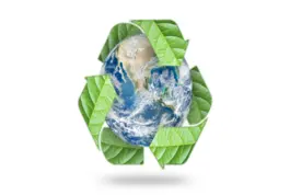 Máster en Dirección de Proyectos Ambientales y RSC