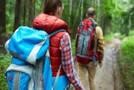 Gestión de Actividades Turísticas y Turismo Rural