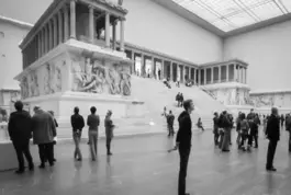 Especialista Educador en Museos