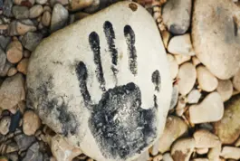 Curso de Iniciación a la Antropología