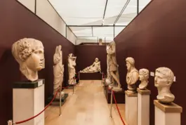 Teoría e Historia de los Museos