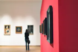 Seguridad y Protección de Colecciones en el Museo