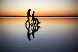 Introducción a la Atención a la Dependencia