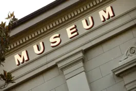 Iniciación a la Documentación en Museos (DOMUS)