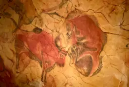 curso-online-arte-rupestre-hallazgos