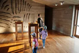 La Educación en el Museo