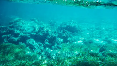 curso-online-patrimonio-arqueologico-subacuatico