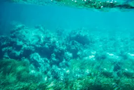 curso-online-patrimonio-arqueologico-subacuatico