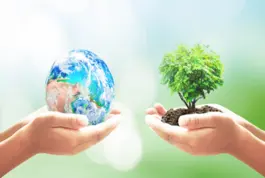 Máster en Gestión Medioambiental