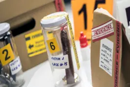 Maestría en Criminología y Criminalística