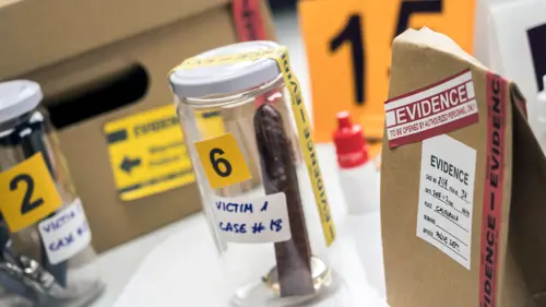 master-online-criminologia-criminalistica-ceupe