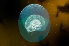 Maestría en Programación Neurolingüística e Inteligencia Emocional