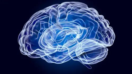 master-online-neuropedagogia-ambito-educativo-ceupe