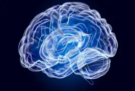 Maestría de Neuropedagogía en el Ámbito Educativo