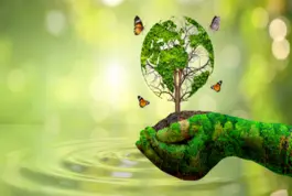 Maestría en Gestión Medioambiental