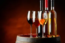 Especialista en Vinos Nivel 1 y 2