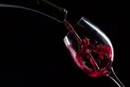 Especialista en Vinos Nivel 3