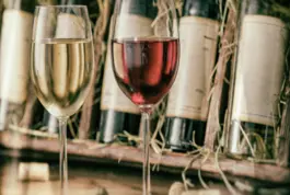 curso-online-destilados-avanzado-enoaula