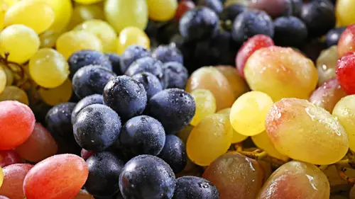 curso-online-variedades-vinos-enoaula