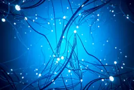 Especialización en Deep Learning