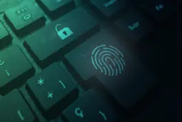 Seguridad en Linea y Protección de Datos