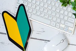 Word para Principiantes