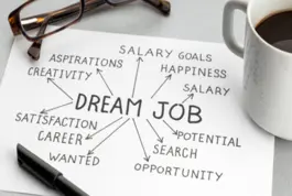 Diseño e Implementación de un Plan de Carrera