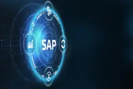 Máster en Comercio Internacional + Consultor SAP Especialista en SD ERP y S/4Hana