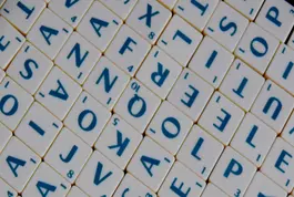 Word Intermedio