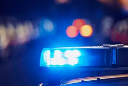 Máster Criminología Aplicada e Investigación Policial