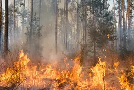 Máster en Investigación de Incendios
