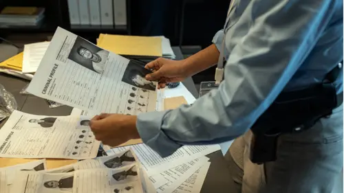 master-online-perfilacion-criminal