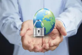 Experto Consultor en Seguridad Global