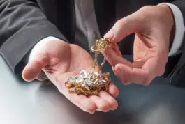 Experto en Metales Preciosos – Perito Judicial