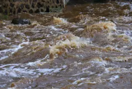 Protección Civil Actuación ante Desbordamiento de Ríos, Lluvias Torrenciales y Danas