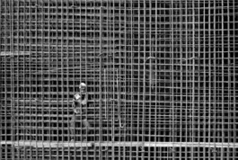 Automatización del Modelado de Acero de Refuerzo en Revit con C#