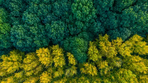 curso-online-certificado-fotogrametria-aerea-drones