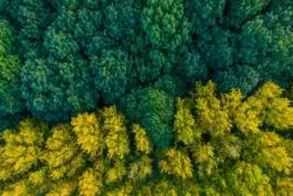 Fotogrametría Aérea con Drones