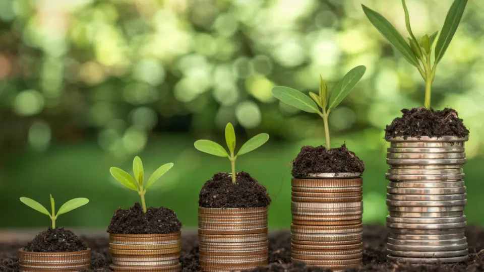 Especialista Certificado en Finanzas Sostenibles